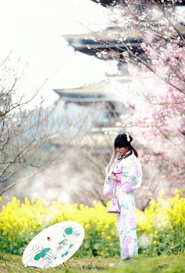 清新樱花树下白皙迷人的和服古风美女写真